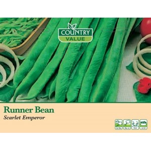 Mr.Fothergill's Runner Bean Scarlet Emperor