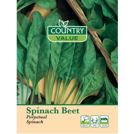 Mr.Fothergill's Leaf Beet Perpetual Spinach