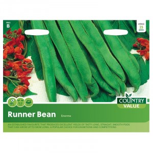 Mr.Fothergill's Runner Bean Enorma