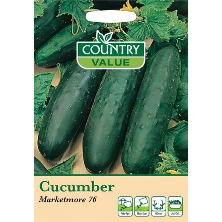 Mr.Fothergill's Cucumber Marketmore 76