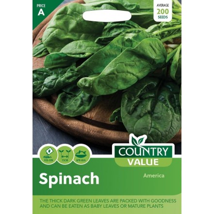 Mr.Fothergill's Spinach America