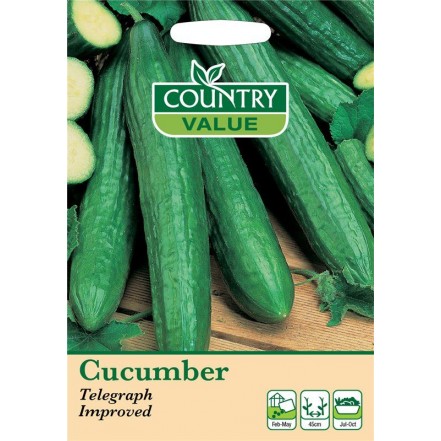 Mr.Fothergill's Cucumber Telegraph Improved