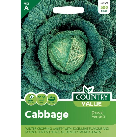 Mr.Fothergill's Cabbage Savoy Vertus 3