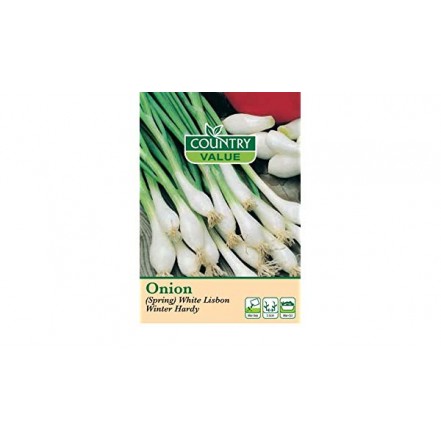 Mr.Fothergill's Onion Spring White Lisbon Hardy