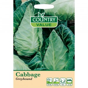 Mr.Fothergill's Cabbage Greyhound