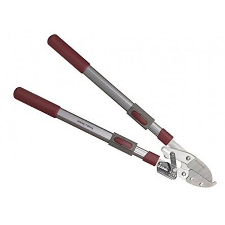 Ambassador Telescopic Ratchet Anvil Loppers