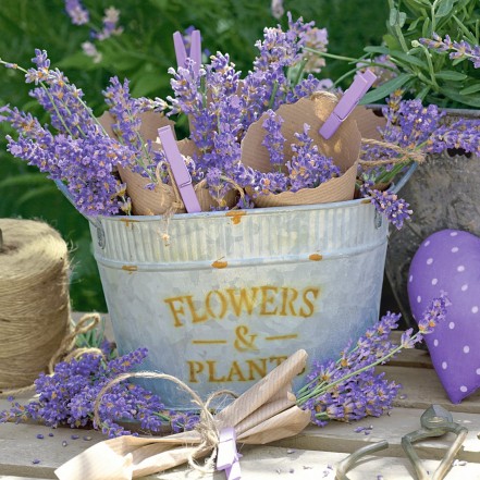 Wimmel Napkin Lavender Decco 33cm